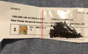 Gieo hạt giống địa lan