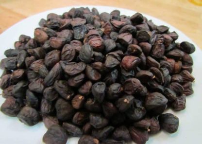 Hạt dổi giống cây dổi - Ảnh 2