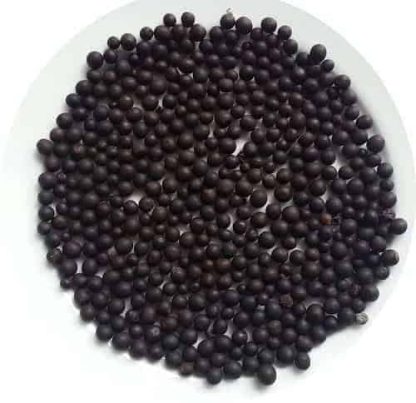 Hạt giống cây dong riềng đỏ(gói 60 hạt)