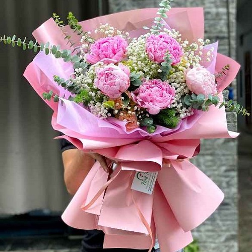 Hạt giống hoa mẫu đơn - Ảnh 4