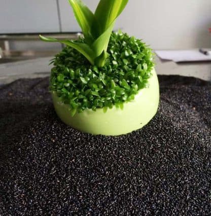 Hạt giống cỏ may mắn - Ảnh 2
